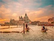 VENICE21 (12)